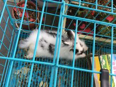 -南京夫子庙国际青年旅舍(平江府路店)