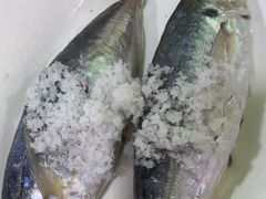 -林记海鲜排档·十年海鲜地标
