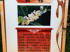 -北京市劳动人民文化宫(太庙)