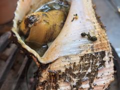 -吴记富苑(朝阳店)