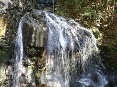 -藏龙百瀑风景区