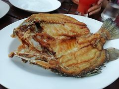 -Rimpa Lapin悬崖餐厅