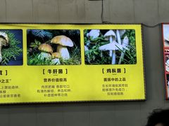 -牛知府云南菌汤鲜牛肉火锅(肖家湾店)