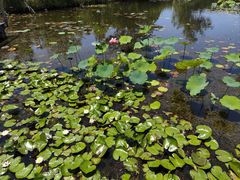 -昆山城市生态森林公园