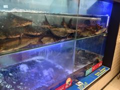 -鱼酷活鱼烤鱼(南京水游城店)