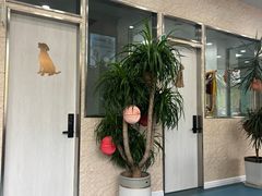 -东日国际动物医院·CT·心脏专科(桃源分院)