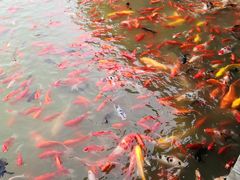 -泰安地下龙宫景区