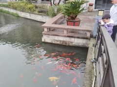 -绍兴大禹开元观堂-若耶厅