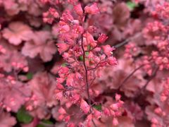 -上海植物园·停车场