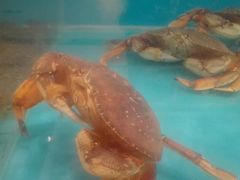 水产区-六顺园清真回族饭店(工程街店)
