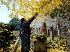 -亮宝楼国宴+文化陕菜