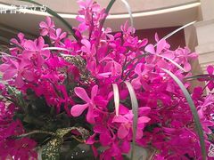 -江阴黄嘉喜来登酒店