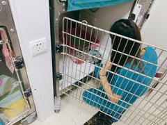-美联众合动物医院·24h转诊中心