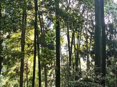 -青城山