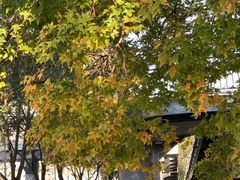 -北京园博大酒店