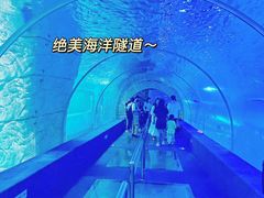 -正佳极地海洋世界