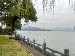 -杭州西湖柳莺里酒店·闻莺厅