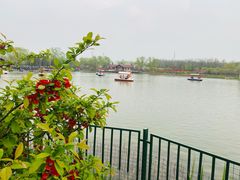 -古塔公园