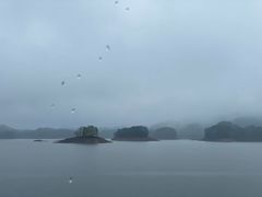 -千岛湖天屿景区