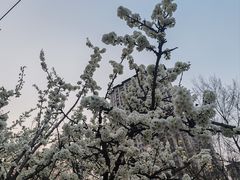 -长影世纪城
