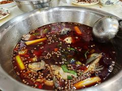 邮亭鲫鱼-曾老幺鱼庄(龙华商厦店)