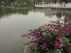 -珠海圆明新园