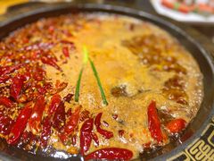 -一斗火锅·招财羊毛肚(泰吉滨江店)