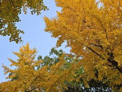 -云龙湖旅游景区