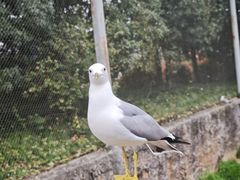 -杭州野生动物世界