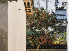 -塔川景区