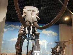 -国家自然博物馆