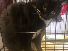 -壹迦桌游·血染钟楼剧本杀狼人杀