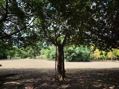 -福州大学(旗山校区)