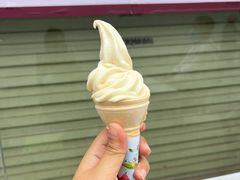 -广州素食学校·素猫豆腐(长洲码头店)