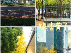 -钱江新城