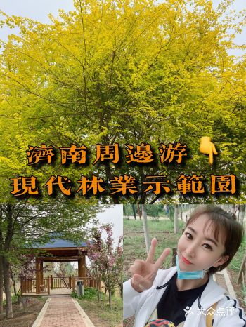 济南游玩｜鲜花之园｜现代林业示范园