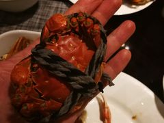 -浦东绿地铂骊酒店-POYA西餐厅(绿地东海岸国际广场店)