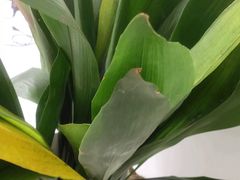 -胡桃里音乐酒馆(仓山万达店)