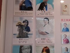 -哆趣宠物医院·眼科·内镜·急重症转诊中心(上海店)