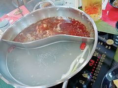 鸳鸯锅-活鱼馆(宜兴埠店)