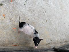 -石家庄市动物园