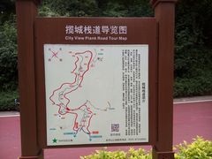 -金鸡山公园