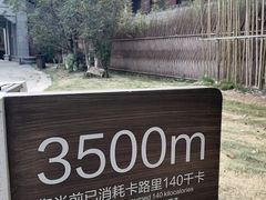 -三垟湿地