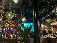 -胡桃里音乐酒馆(石家庄店)
