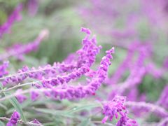 -仙海旅游度假区