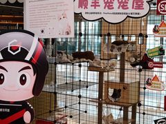 -凯德广场(西城店)