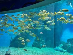 -泉城欧乐堡海洋极地世界