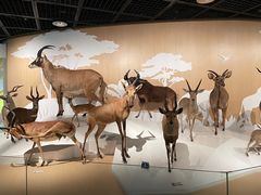 -陕西自然博物馆