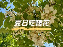 -石岛赤山风景区