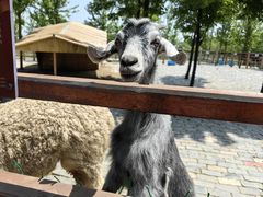 -泗洪洪泽湖湿地景区